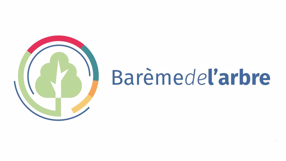 Barème de l'arbre : un outil unique pour protéger les arbres