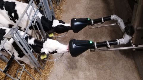 Le CalfRail Duo alimente en lait simultanément deux veaux côte à côte dans un même box, ou dans deux box distincts face à face jusqu’à huit fois par jour. Le CalfRail Duo alimente en lait simultanément deux veaux côte à côte dans un même box, ou dans deux box distincts face à face jusqu’à huit fois par jour.