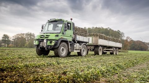 Trois Unimog de plus chez Mählmann Gemüsebau Trois Unimog de plus chez Mählmann Gemüsebau