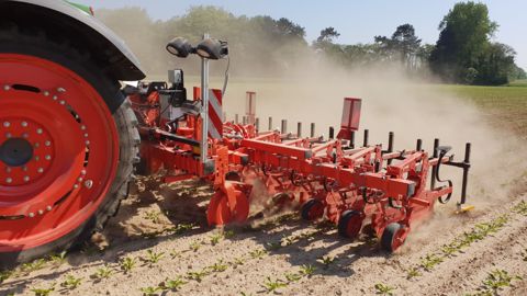Maschio : Bineuses et houes rotatives au programme Maschio : Bineuses et houes rotatives au programme