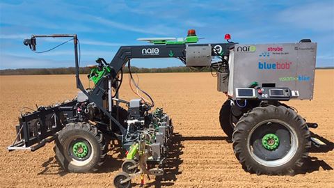 Naïo : un petit frère pour Bluebob Naïo : un petit frère pour Bluebob