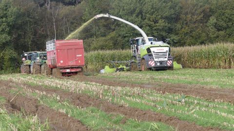 L’ensileuse Jaguar 990, dans sa version Terra Trac, a pu démontrer tout son potentiel dans les sols gorgés d’eau du Cotentin. L’ensileuse Jaguar 990, dans sa version Terra Trac, a pu démontrer tout son potentiel dans les sols gorgés d’eau du Cotentin.