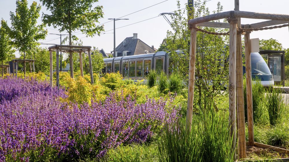 Un premier label pour les aménagements paysagers 