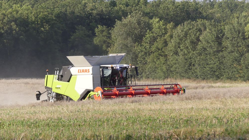 Moissonneuses-batteuses : Claas complète son offre avec la gamme Trion