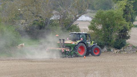 Semoir monograine Amazone Precea : dévoreur d'hectares Semoir monograine Amazone Precea : dévoreur d'hectares