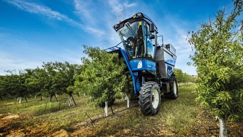 New Holland Braud récolte les olives New Holland Braud récolte les olives