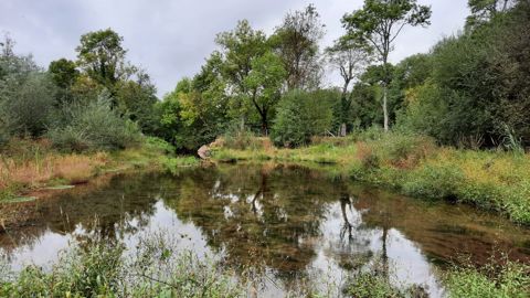 La-Roche-sur-Yon est valorisée pour la restauration exemplaire de ses milieux aquatiques, comme ici sur le site d’Alluchon où la rivière a retrouvé un écoulement naturel.
La-Roche-sur-Yon est valorisée pour la restauration exemplaire de ses milieux aquatiques, comme ici sur le site d’Alluchon où la rivière a retrouvé un écoulement naturel.