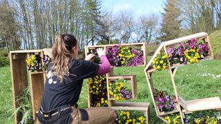 Préparation de l'exposition par les élèves d'Agrocampus Ouest.