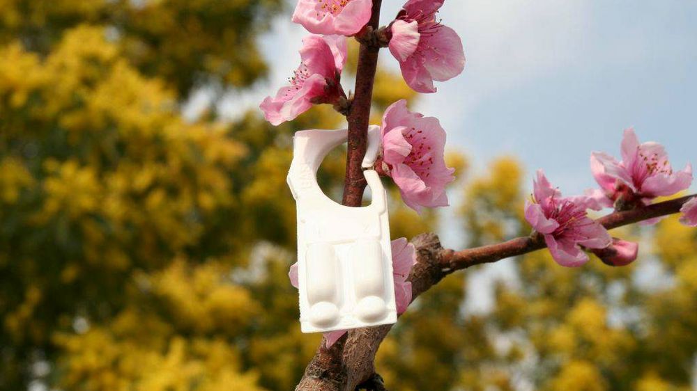 Agriculteurs et coopératives de l’UE plébiscitent le biocontrôle