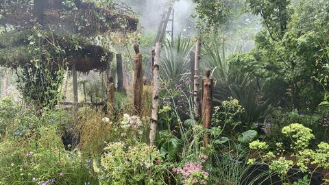 La visite d'un jardin de rêve avec Pierre-Alexandre Risser La visite d'un jardin de rêve avec Pierre-Alexandre Risser