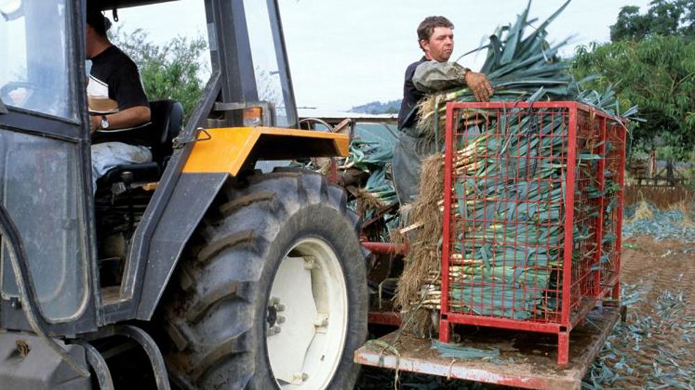 Les chiffres de la campagne en cours