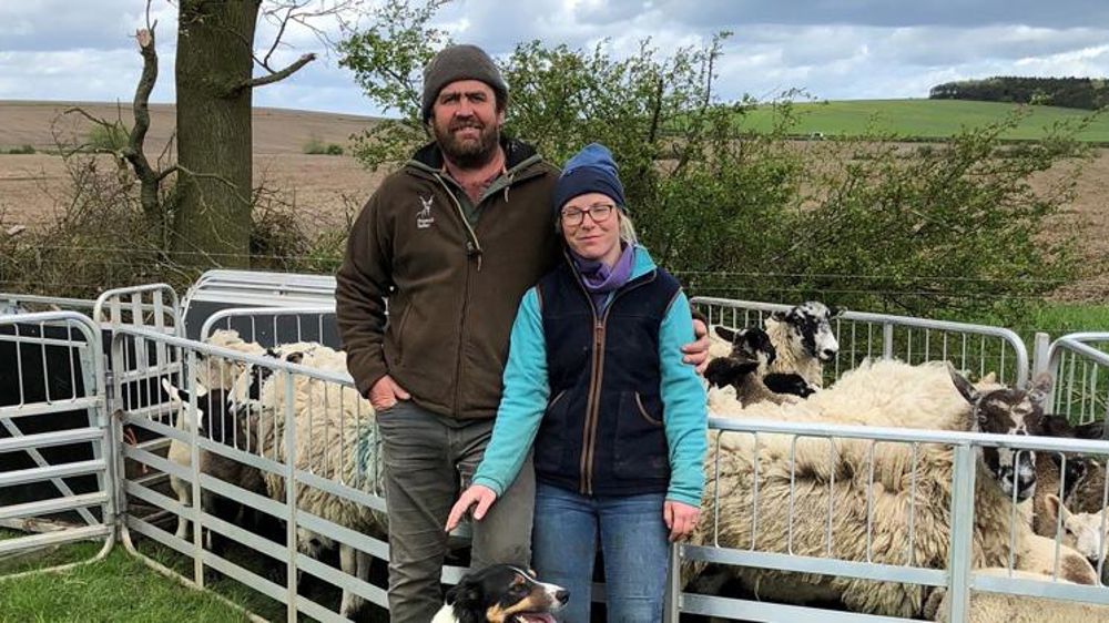 « Nous risquons d’arrêter les bovins à cause du Brexit »