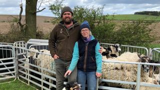 « Nous risquons d’arrêter les bovins à cause du Brexit » « Nous risquons d’arrêter les bovins à cause du Brexit »