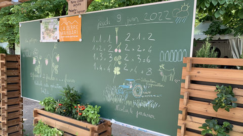 Un projet de classe verte pour une école fertile Un projet de classe verte pour une école fertile