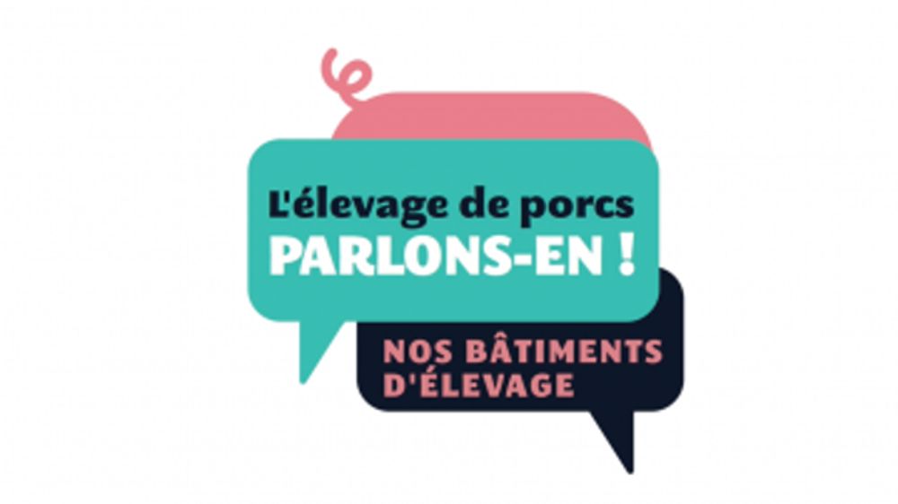 Des éleveurs répondent aux consommateurs sur YouTube