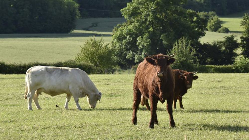 Un cahier des charges rénové pour le label rouge