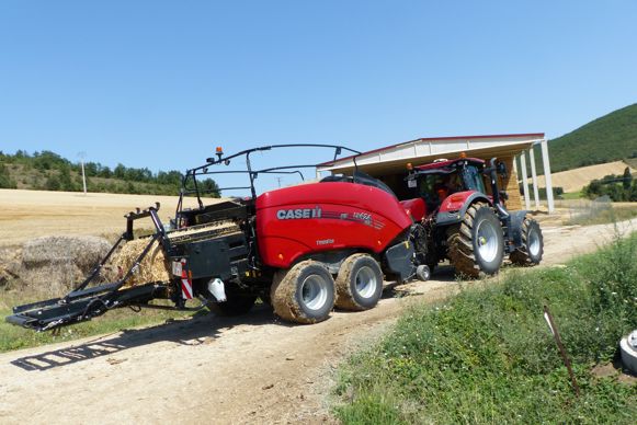 De la sciure en litière pour les chevaux