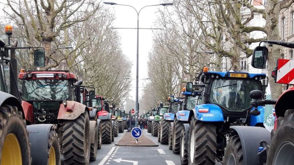 Les agriculteurs du Nord persévèrent