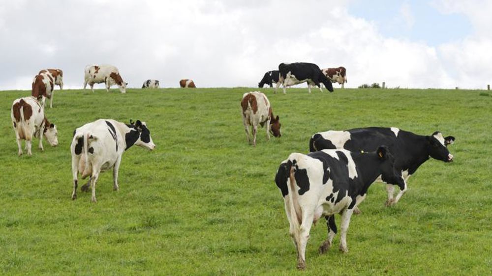 Quels défis pour l’Europe laitière de demain ?