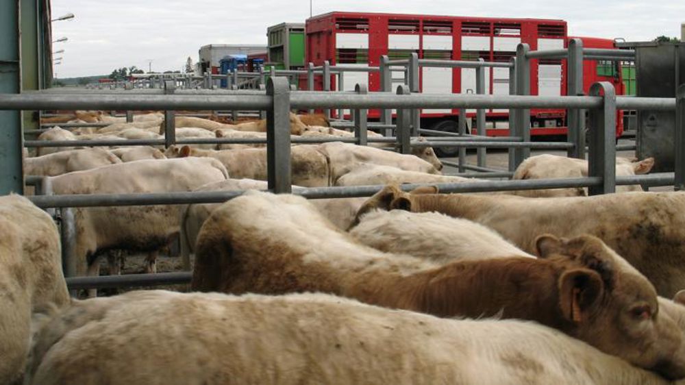 Des perspectives incertaines à l’exportation