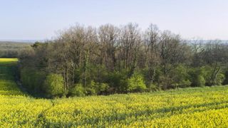 Corteva veut faire annuler l’interdiction du sulfoxaflor Corteva veut faire annuler l’interdiction du sulfoxaflor