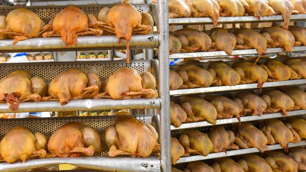Le poulet tire l’activité d’abattage