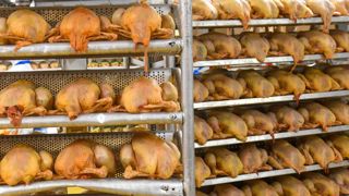 Le poulet tire l’activité d’abattage Le poulet tire l’activité d’abattage