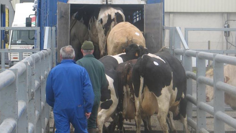 Prendre de l’avance sur les réformes