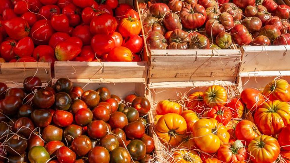 « Le combat d’opinion continue »