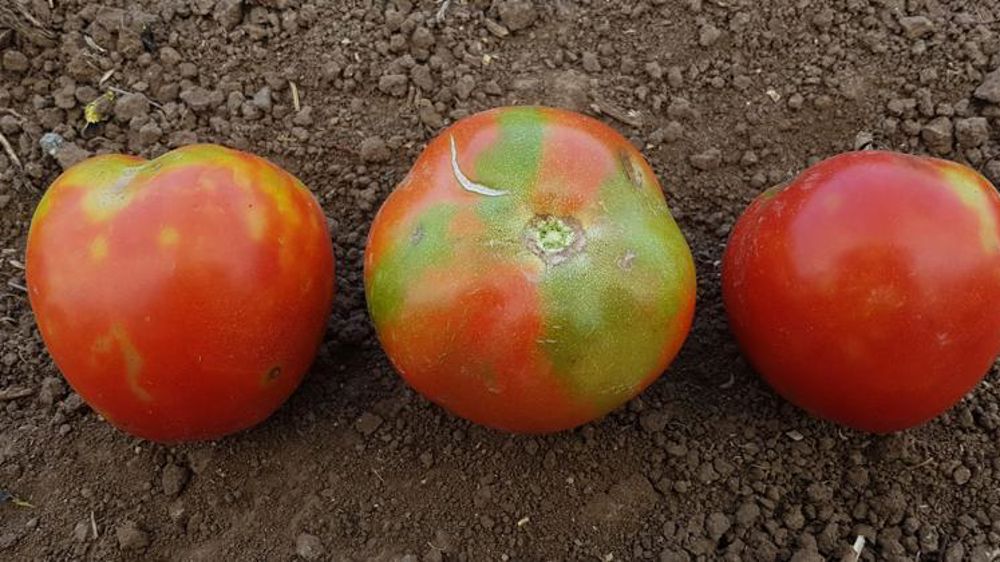 Tous les détails pour l’autocontrôle