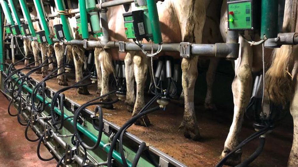 La collecte française a progressé en février