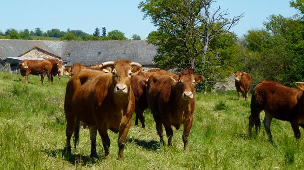 Bras de fer entre la FNB et Didier Guillaume
