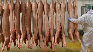 « Le Covid-19 perturbe l’ensemble des marchés mondiaux » « Le Covid-19 perturbe l’ensemble des marchés mondiaux »