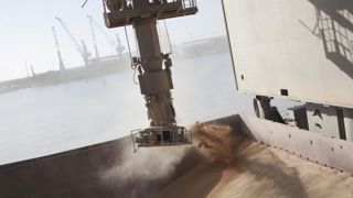Les inquiétudes climatiques soutiennent le blé et l’orge Les inquiétudes climatiques soutiennent le blé et l’orge