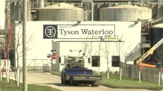 Les fermetures d’abattoirs se multiplient aux États-Unis Les fermetures d’abattoirs se multiplient aux États-Unis