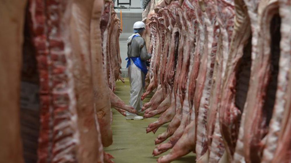 « La France ne va pas finir dans les premiers de la classe »