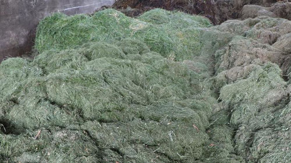 Un outil numérique pour la chasse à la matière organique