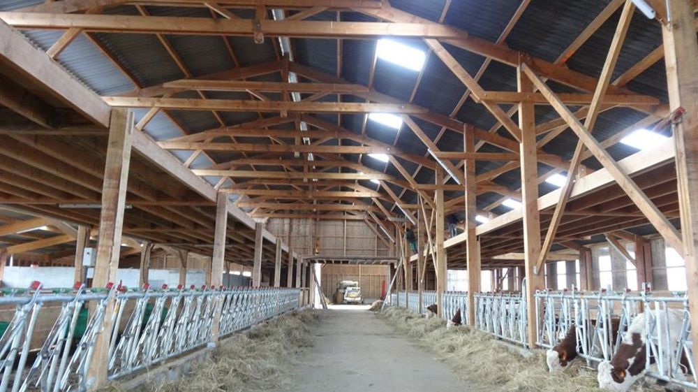 Les aménagements qui améliorent le quotidien des animaux