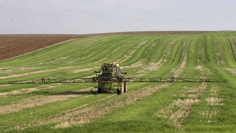 Six arrêtés anti-glyphosate suspendus par la justice Six arrêtés anti-glyphosate suspendus par la justice