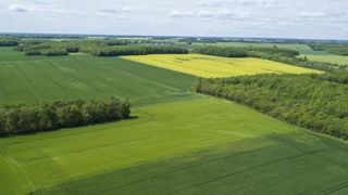 Les prévisions de rendement révisées à la baisse Les prévisions de rendement révisées à la baisse