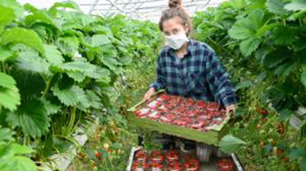 Le premier contrat de vente de carbone est signé