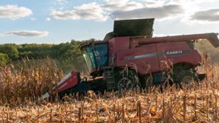 Les producteurs de maïs dénoncent des objectifs insensés Les producteurs de maïs dénoncent des objectifs insensés