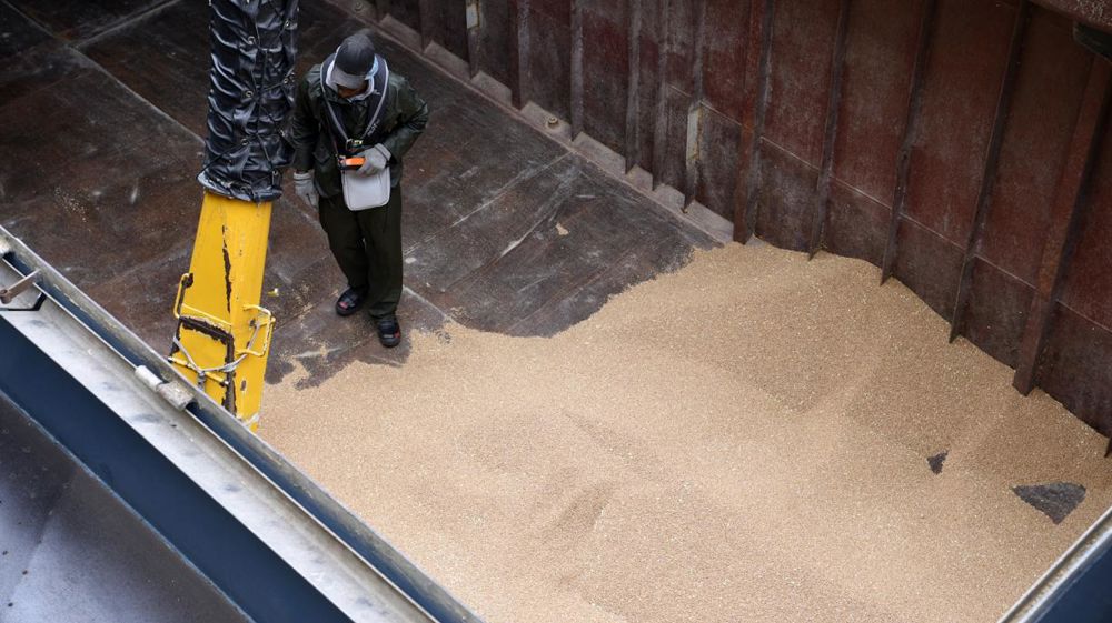 Difficile de résister pour les céréales à paille