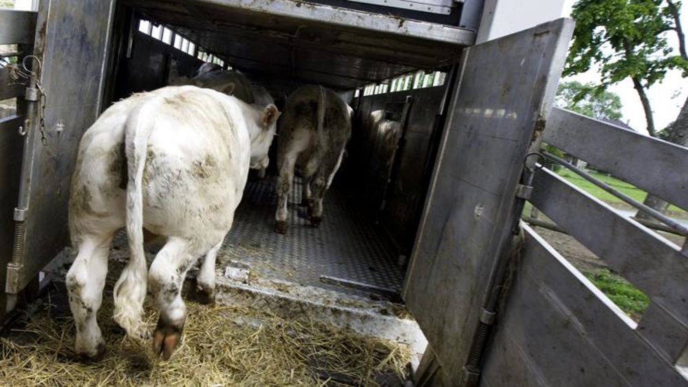 Il sème le couvert avant la moissonLe Parlement européen enquête sur le transpor