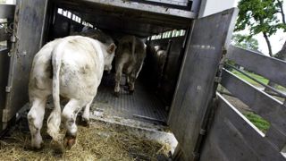 Il sème le couvert avant la moissonLe Parlement européen enquête sur le transpor Il sème le couvert avant la moissonLe Parlement européen enquête sur le transpor