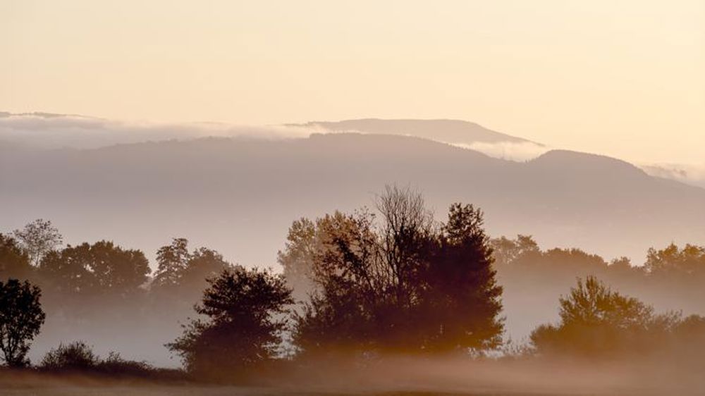La Confédération paysanne s’y retrouve en partie