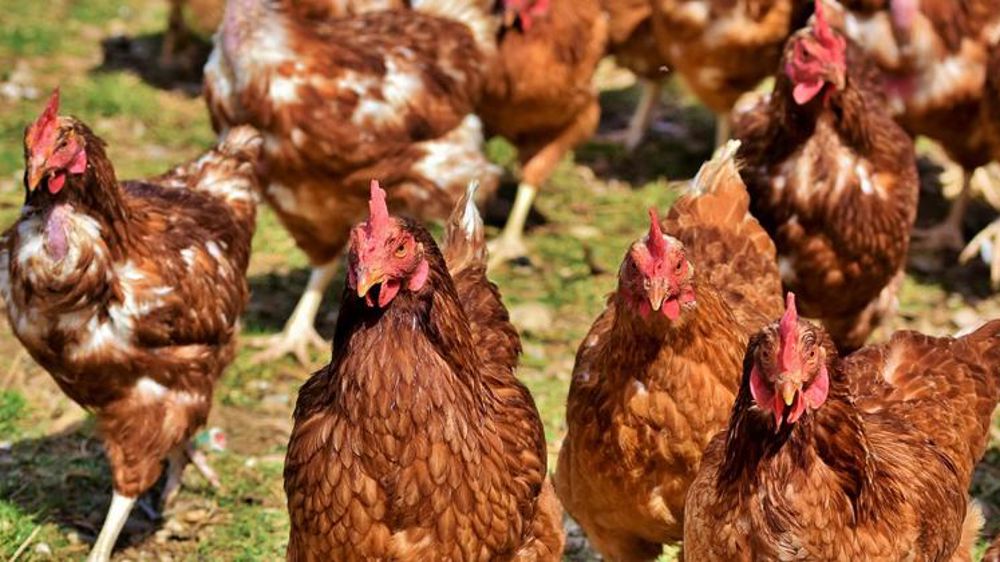 Huit entreprises françaises récompensées