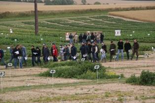 Belchim organisait en juillet ses 5e rencontres techniques à Bray-sur-Somme.