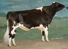 Santana, le n°1 des Shottle et n°3 ISU international +188 