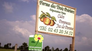 Une taxe sur les enseignes et publicités Une taxe sur les enseignes et publicités